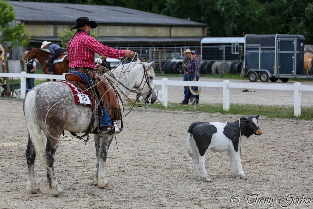 Swiss Ranch Horse Association - SRHA