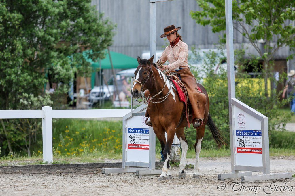 Swiss Ranch Horse Association - SRHA