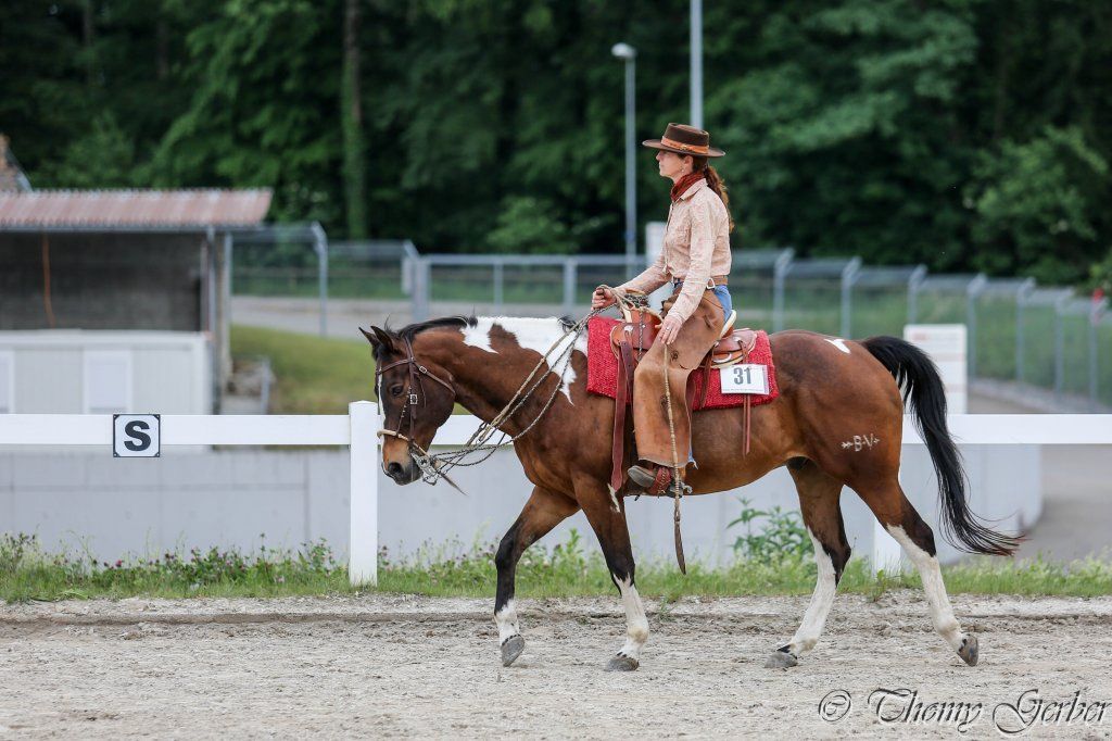 Swiss Ranch Horse Association - SRHA