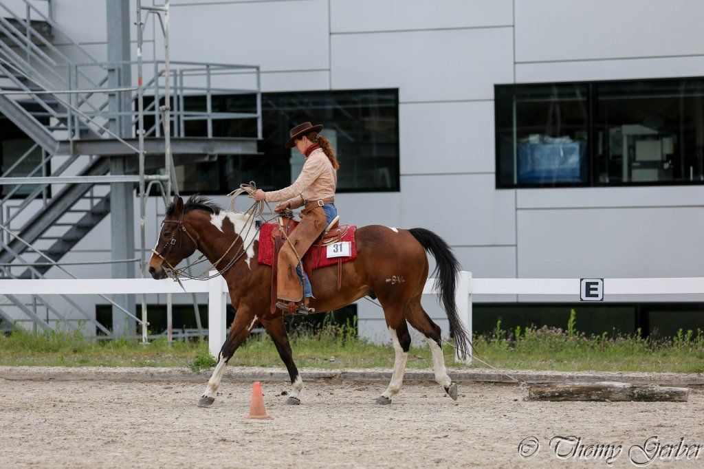 Swiss Ranch Horse Association - SRHA