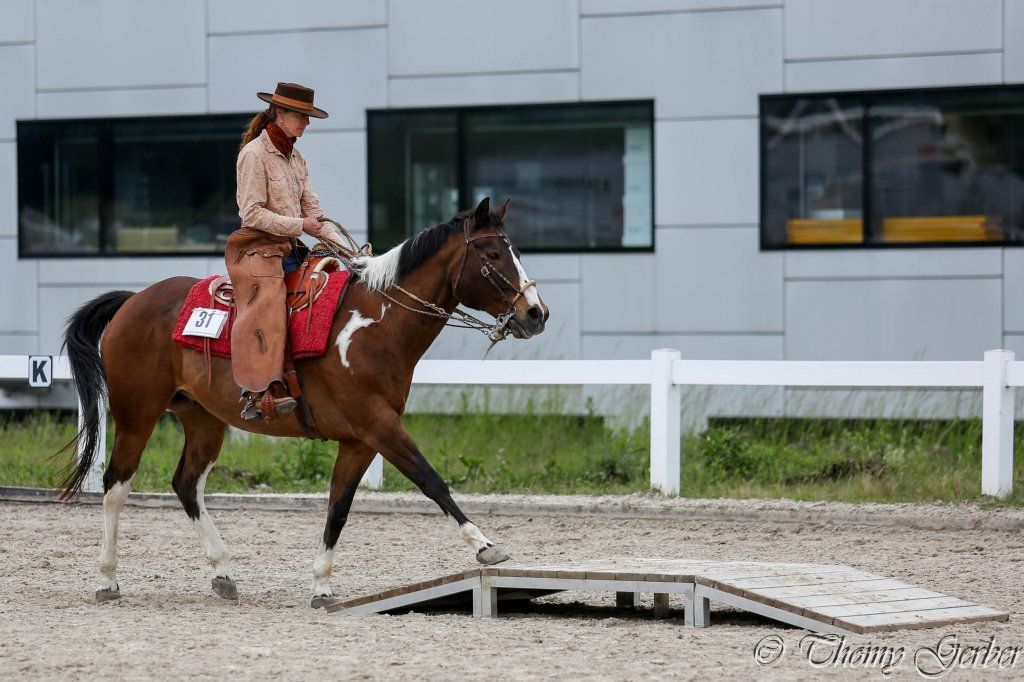 Swiss Ranch Horse Association - SRHA