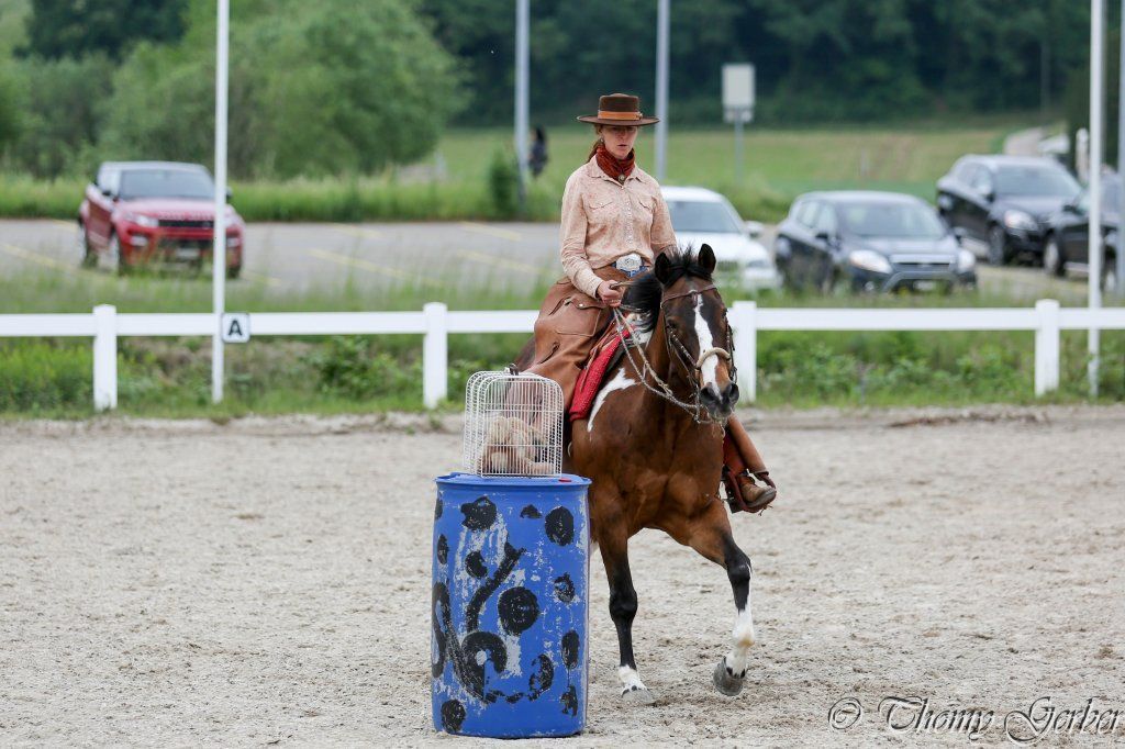 Swiss Ranch Horse Association - SRHA