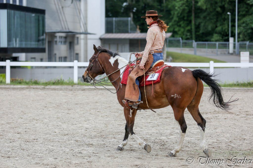 Swiss Ranch Horse Association - SRHA