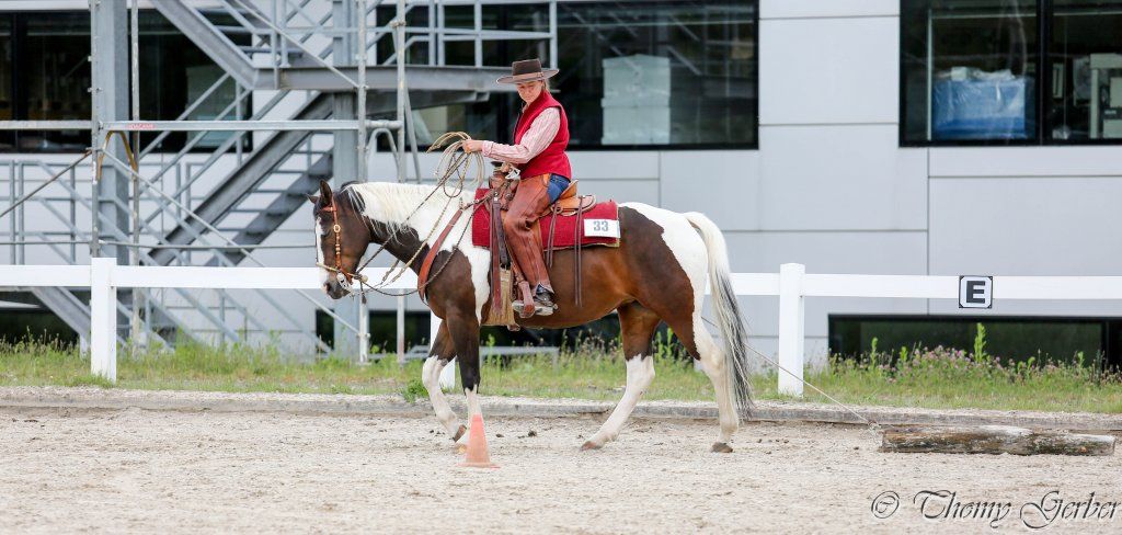 Swiss Ranch Horse Association - SRHA