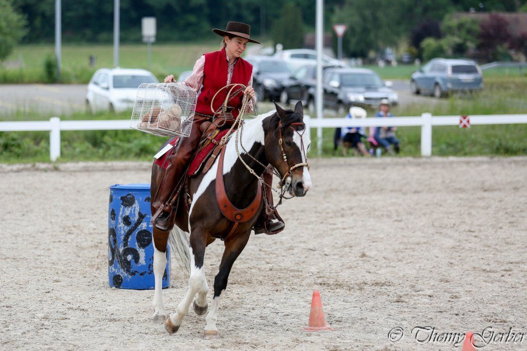 Swiss Ranch Horse Association - SRHA