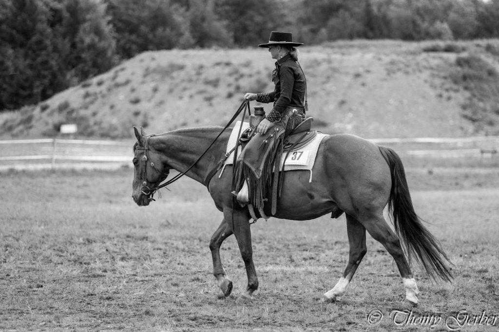 Swiss Ranch Horse Association - SRHA