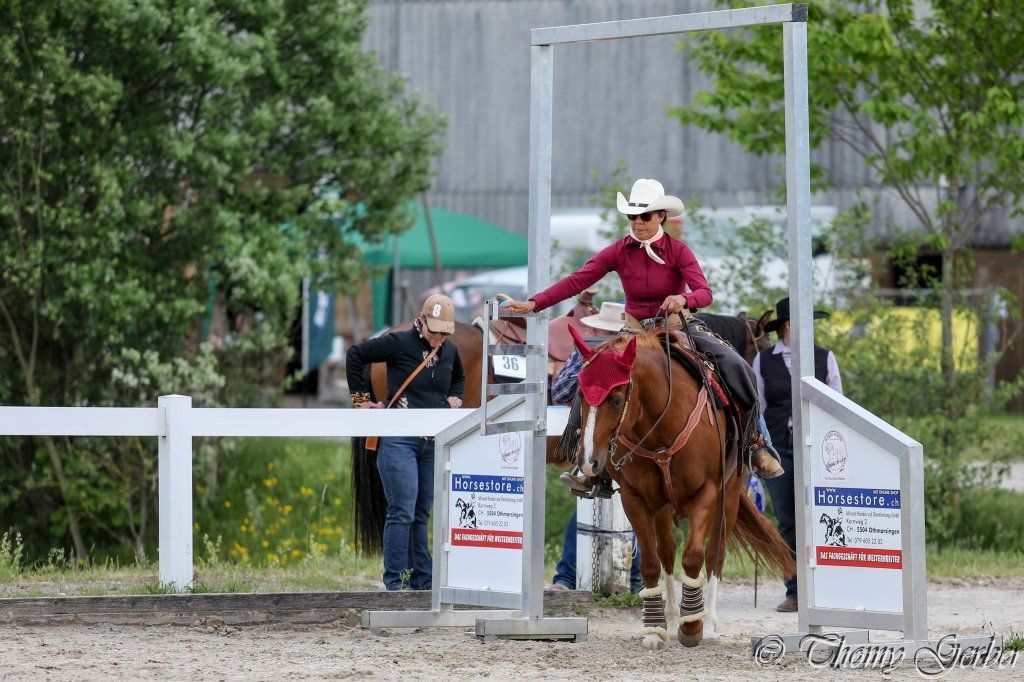 Swiss Ranch Horse Association - SRHA