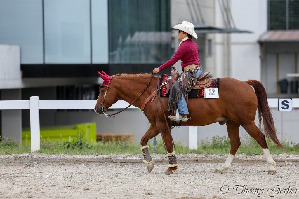 Swiss Ranch Horse Association - SRHA
