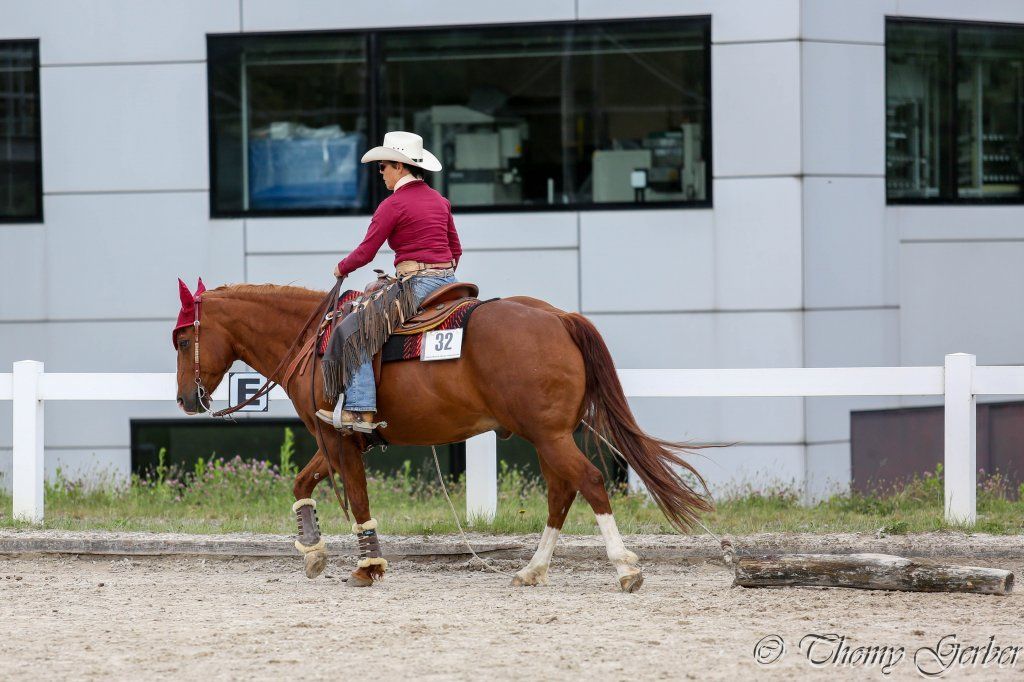 Swiss Ranch Horse Association - SRHA