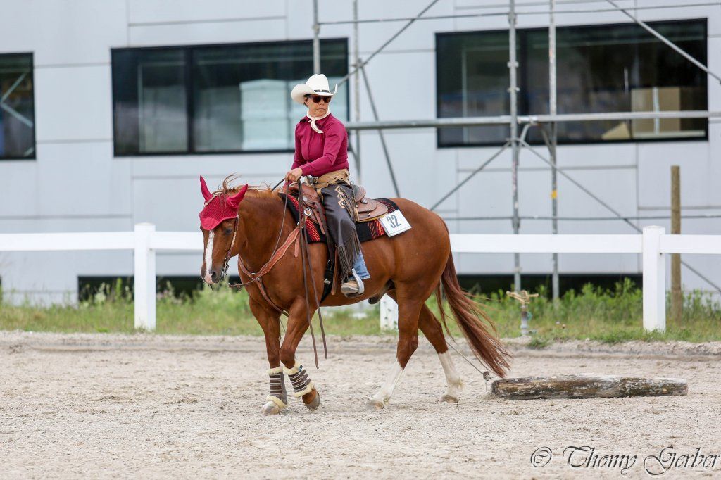 Swiss Ranch Horse Association - SRHA