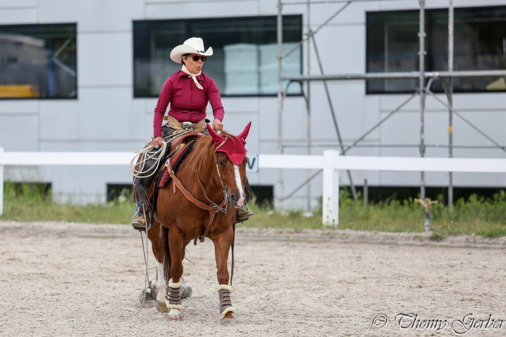 Swiss Ranch Horse Association - SRHA