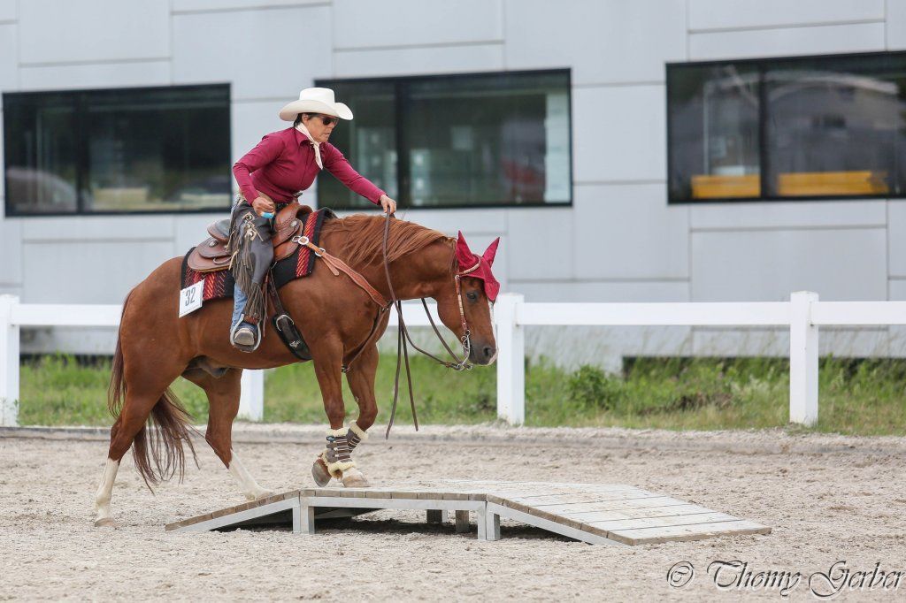 Swiss Ranch Horse Association - SRHA