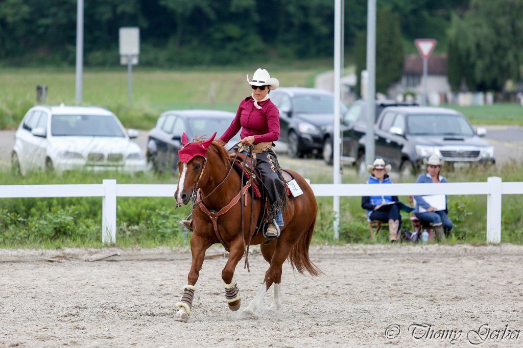 Swiss Ranch Horse Association - SRHA