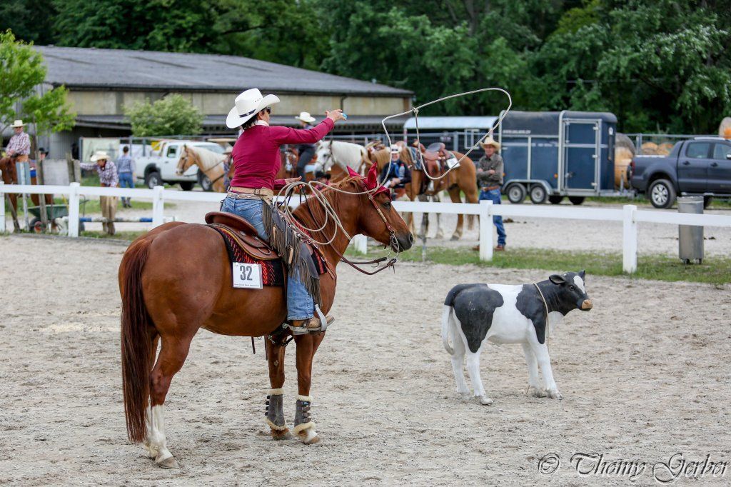 Swiss Ranch Horse Association - SRHA