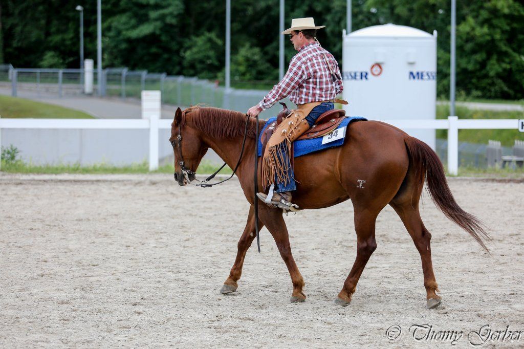 Swiss Ranch Horse Association - SRHA