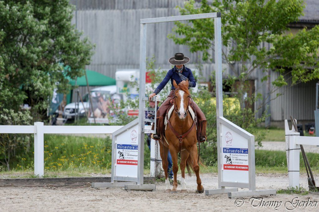 Swiss Ranch Horse Association - SRHA