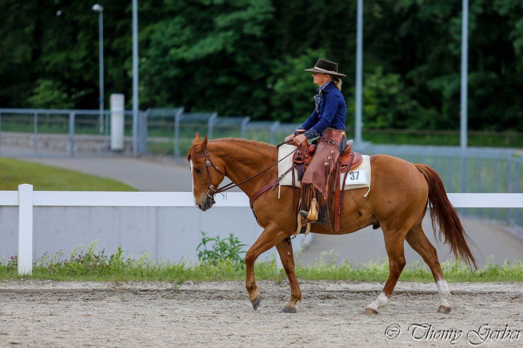 Swiss Ranch Horse Association - SRHA