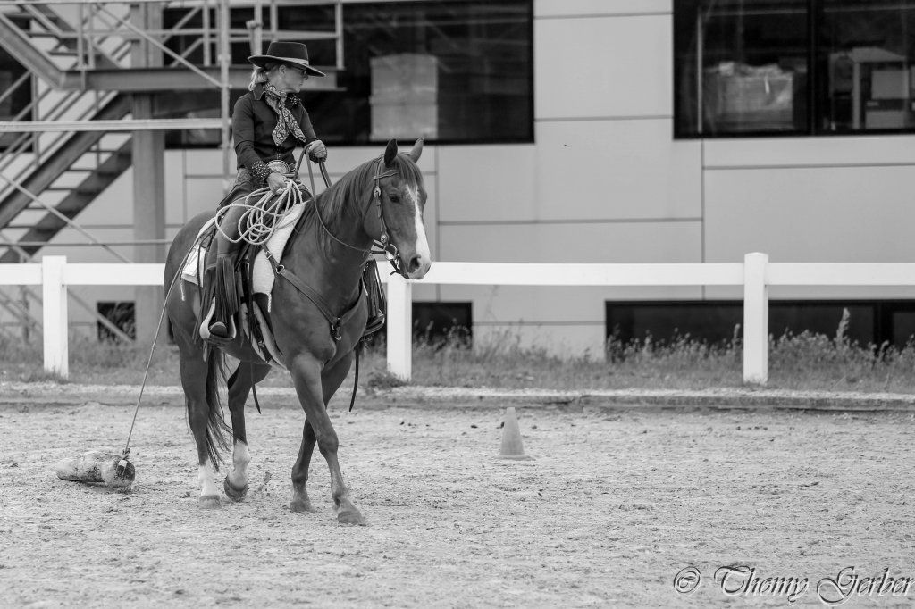 Swiss Ranch Horse Association - SRHA