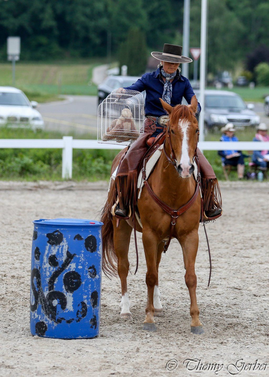 Swiss Ranch Horse Association - SRHA