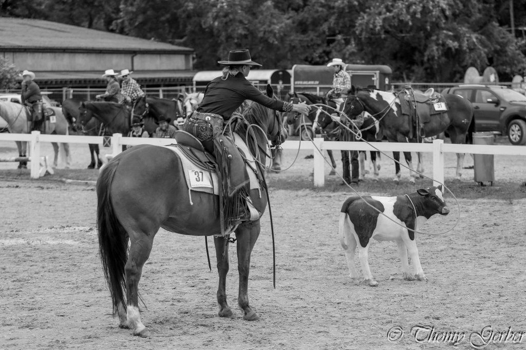 Swiss Ranch Horse Association - SRHA