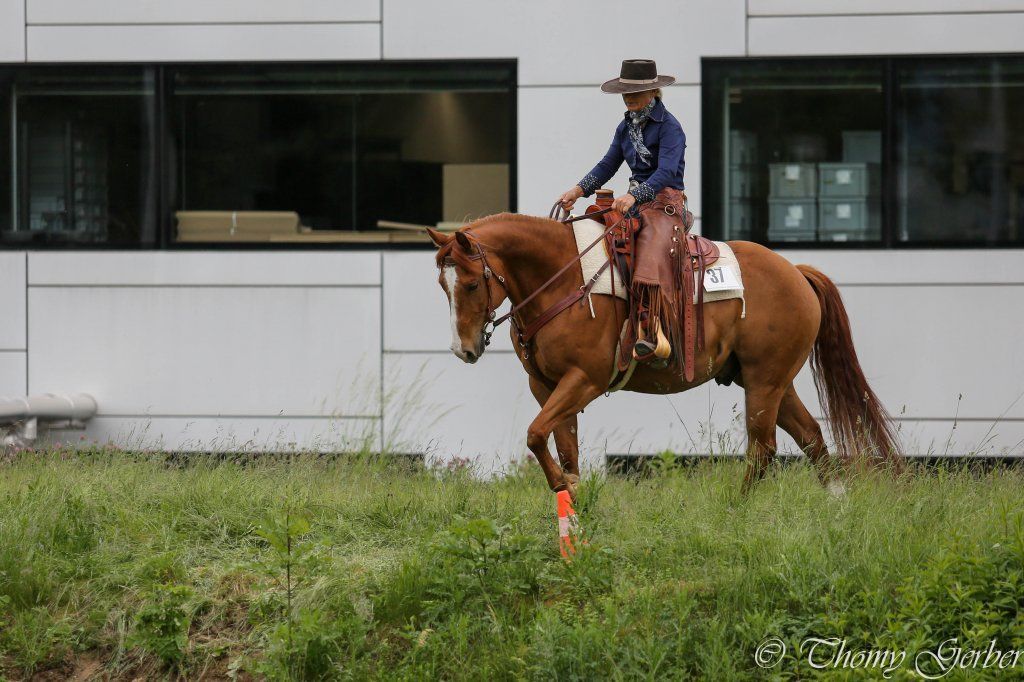 Swiss Ranch Horse Association - SRHA