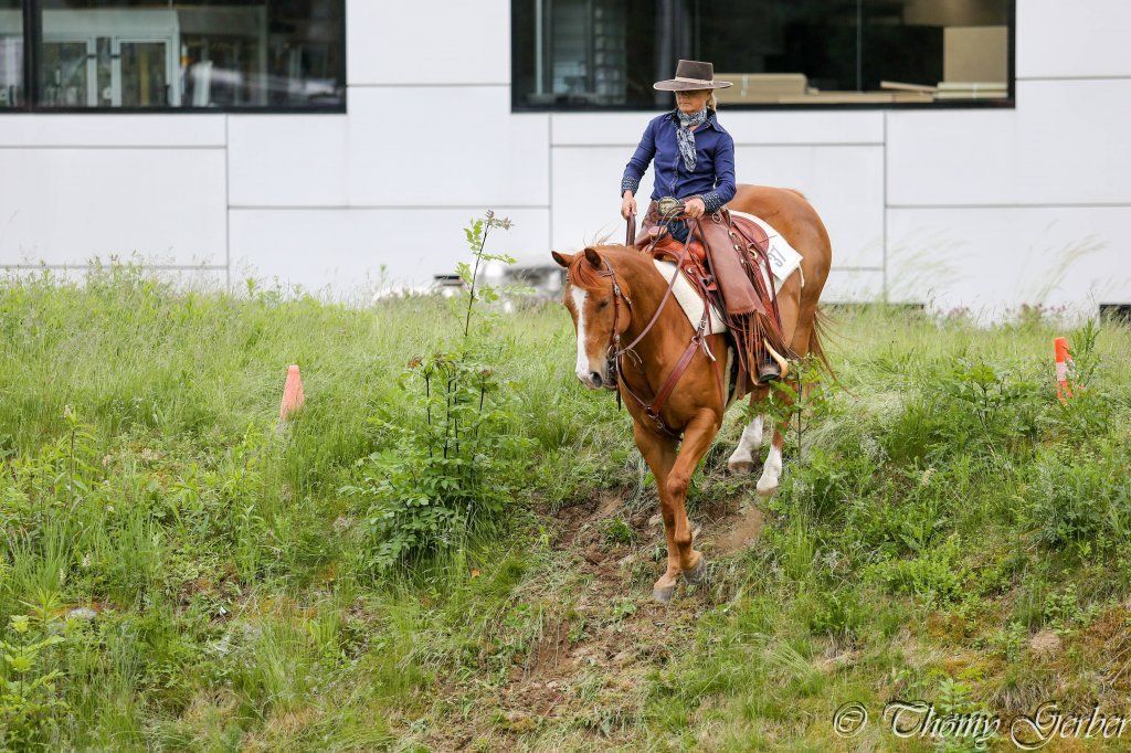 Swiss Ranch Horse Association - SRHA