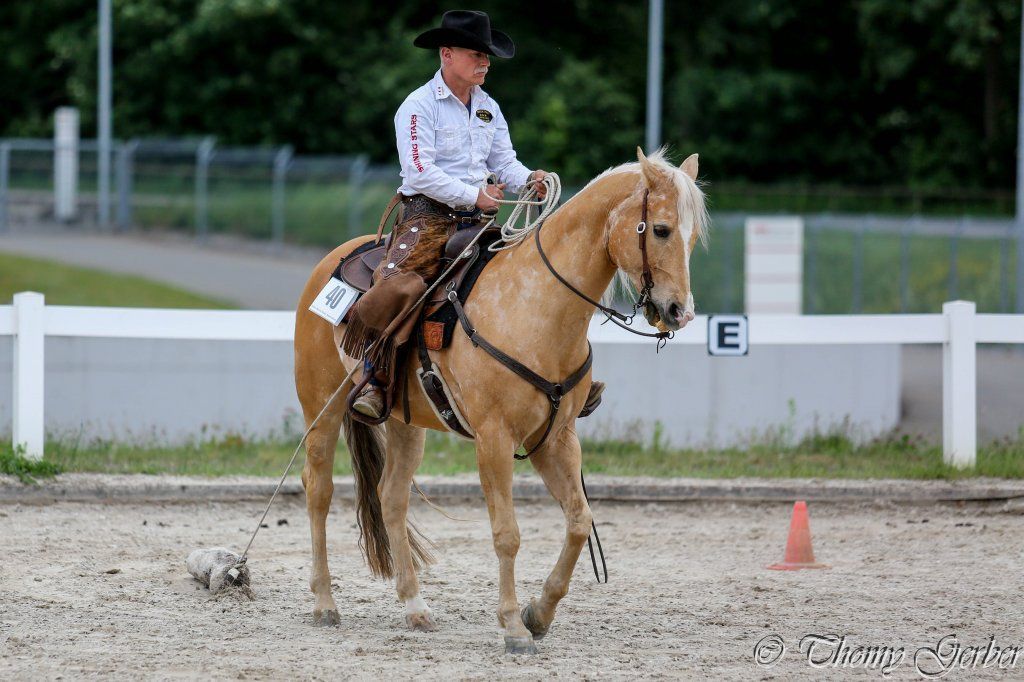 Swiss Ranch Horse Association - SRHA