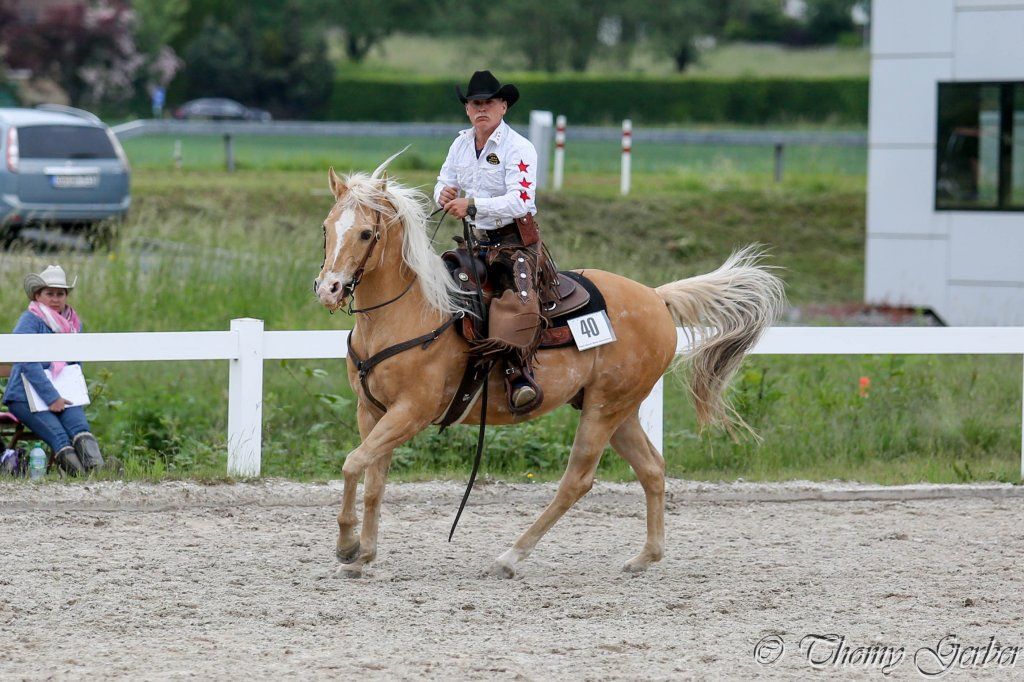 Swiss Ranch Horse Association - SRHA