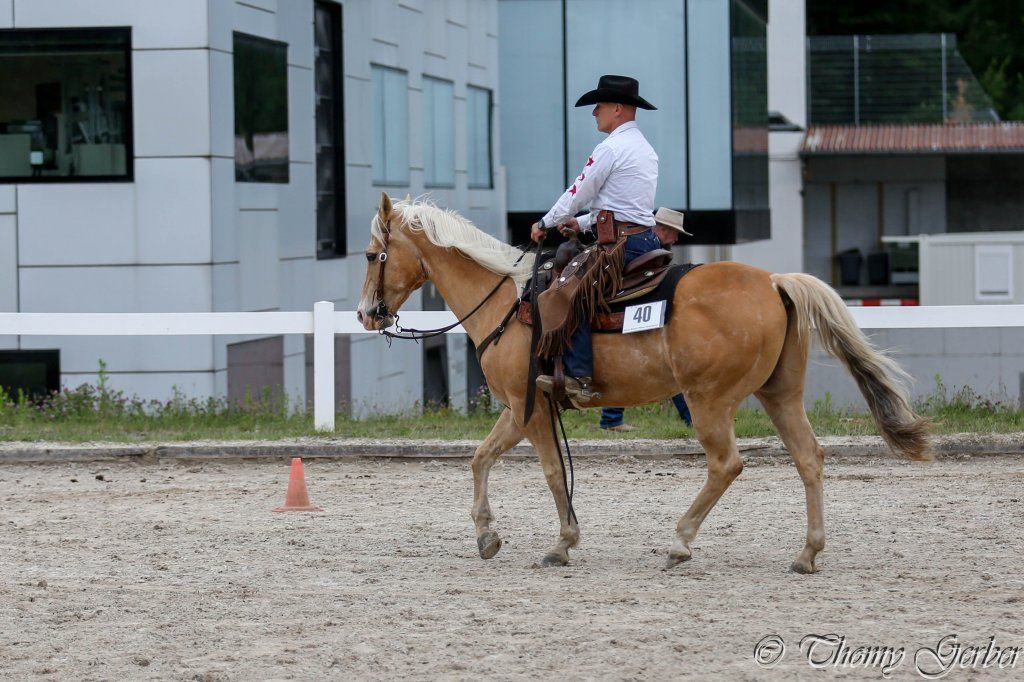 Swiss Ranch Horse Association - SRHA