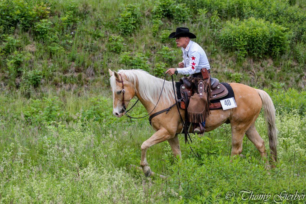 Swiss Ranch Horse Association - SRHA