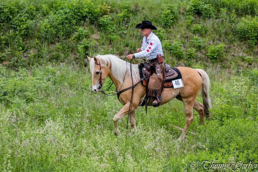 Swiss Ranch Horse Association - SRHA