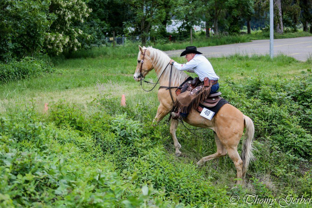 Swiss Ranch Horse Association - SRHA