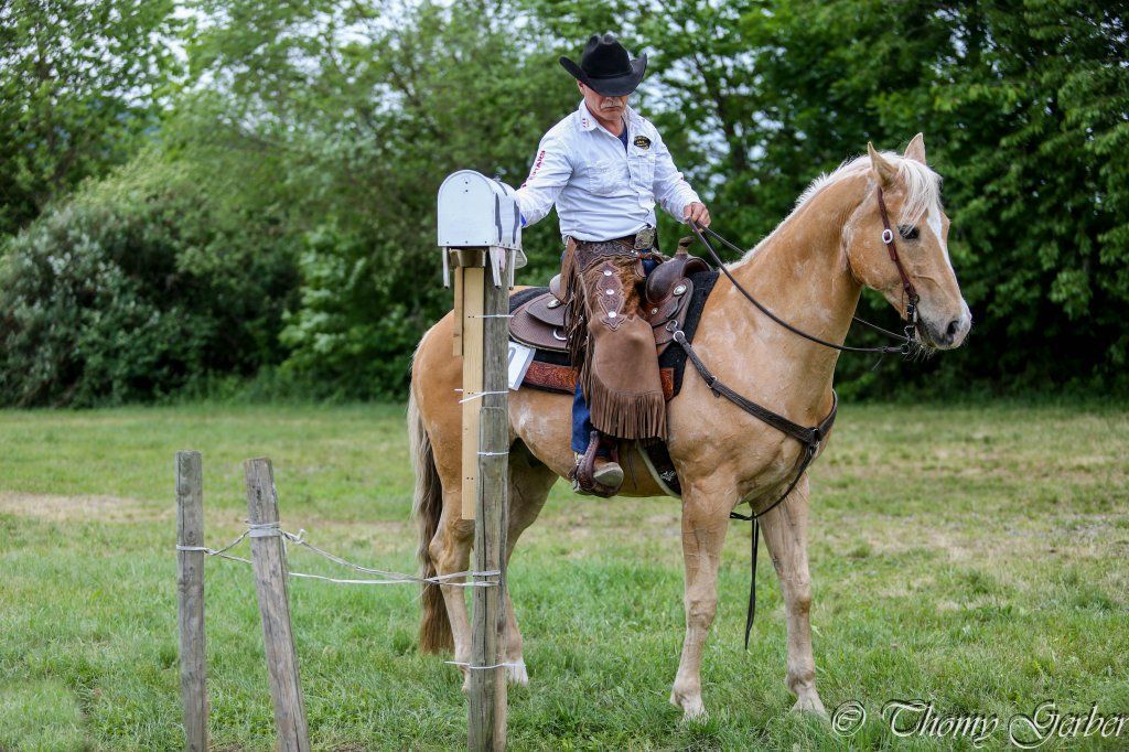 Swiss Ranch Horse Association - SRHA