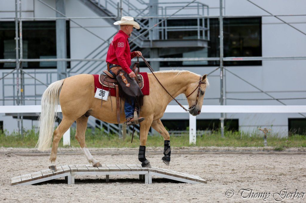 Swiss Ranch Horse Association - SRHA