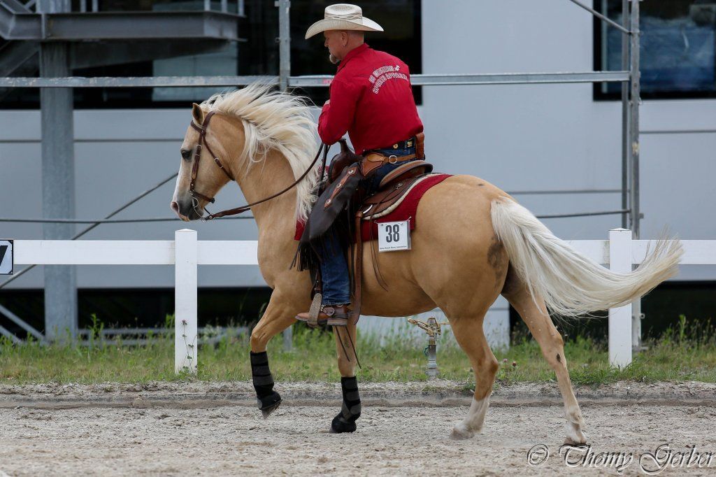 Swiss Ranch Horse Association - SRHA