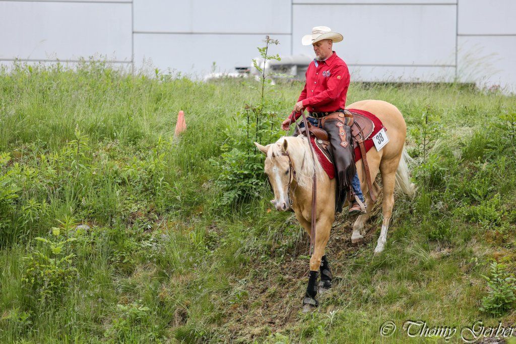 Swiss Ranch Horse Association - SRHA