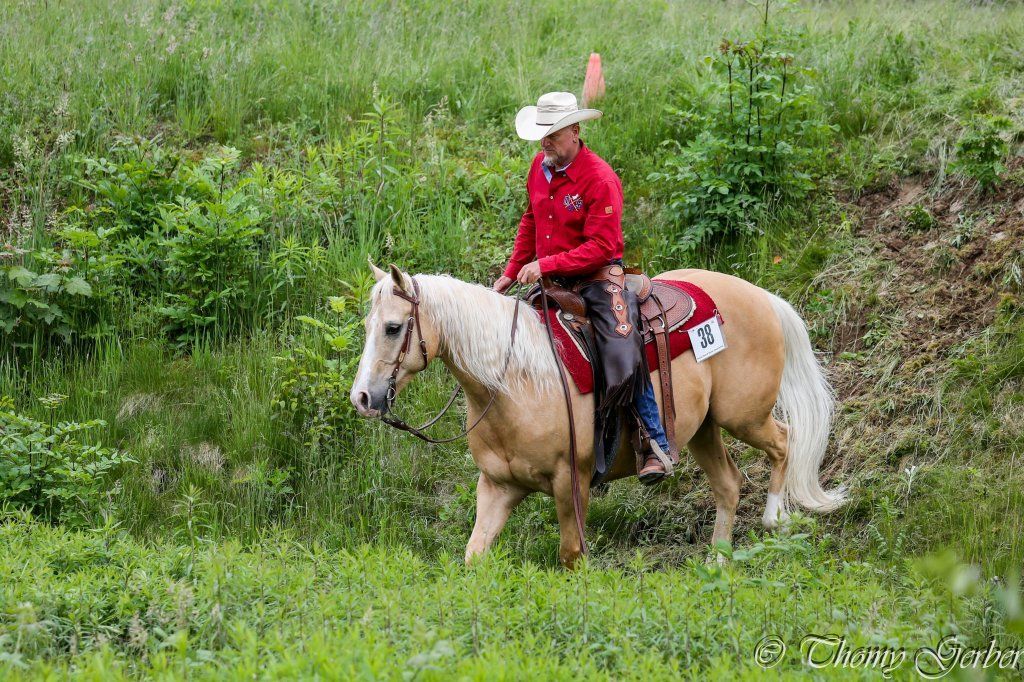 Swiss Ranch Horse Association - SRHA