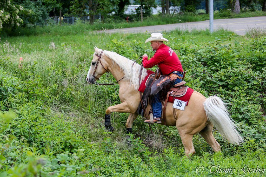 Swiss Ranch Horse Association - SRHA