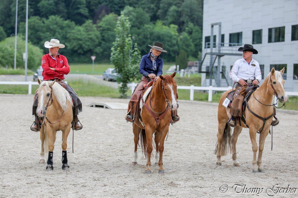 Swiss Ranch Horse Association - SRHA