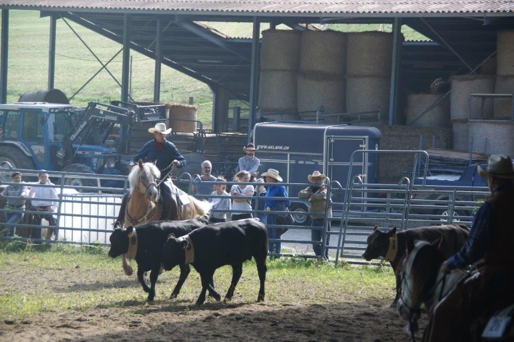 Swiss Ranch Horse Association - SRHA
