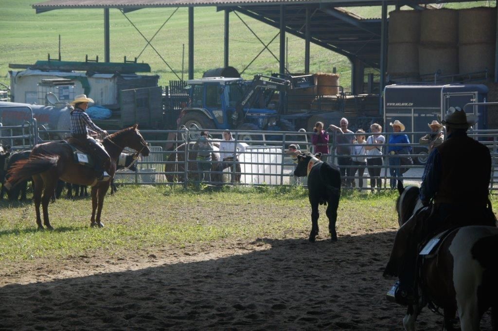Swiss Ranch Horse Association - SRHA