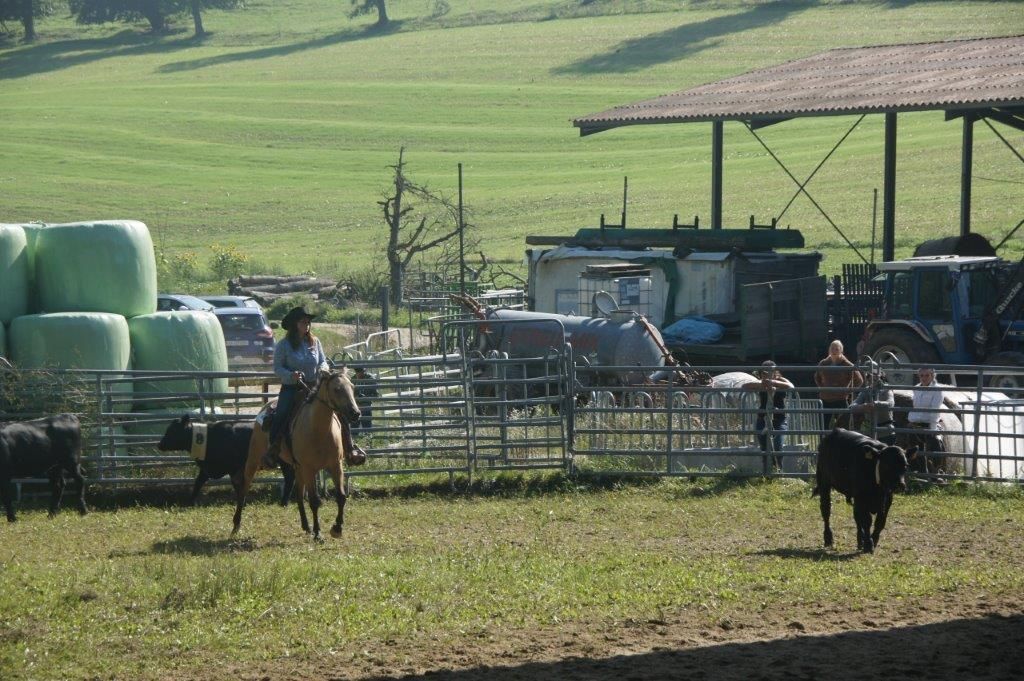 Swiss Ranch Horse Association - SRHA
