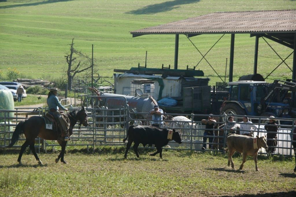 Swiss Ranch Horse Association - SRHA