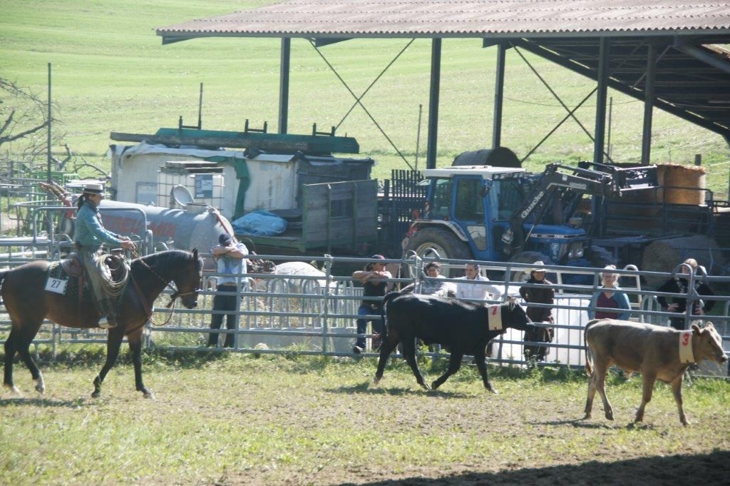 Swiss Ranch Horse Association - SRHA