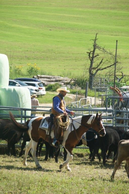 Swiss Ranch Horse Association - SRHA