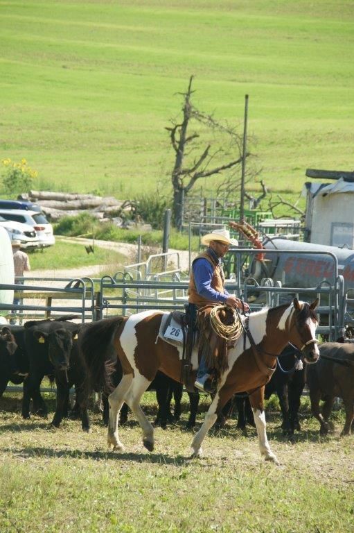 Swiss Ranch Horse Association - SRHA