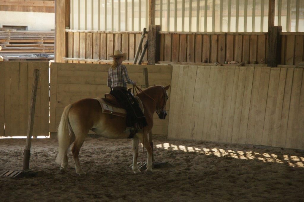 Swiss Ranch Horse Association - SRHA