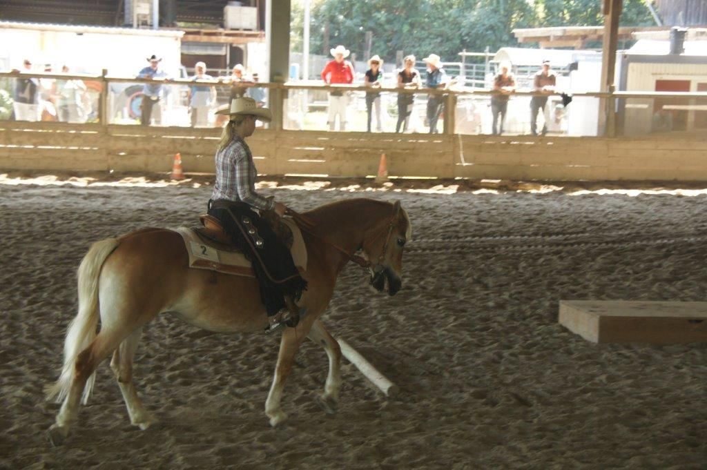 Swiss Ranch Horse Association - SRHA