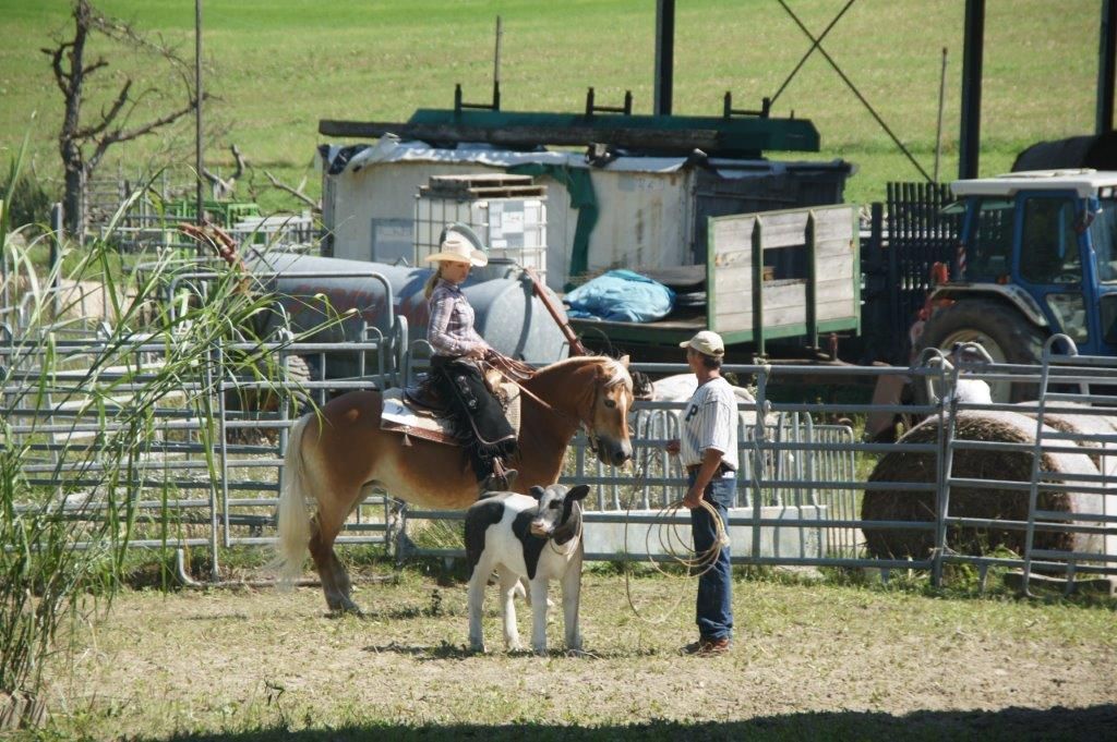 Swiss Ranch Horse Association - SRHA