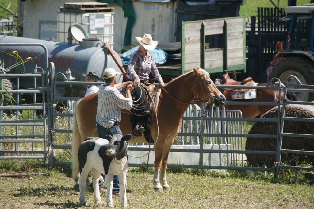 Swiss Ranch Horse Association - SRHA